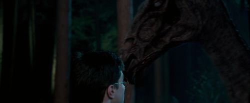 OdF-Potterish_2128.jpg