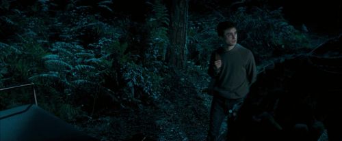 Click to view full size image
==============
OdF-Potterish_2131.jpg OdF-Potterish_2131.jpg