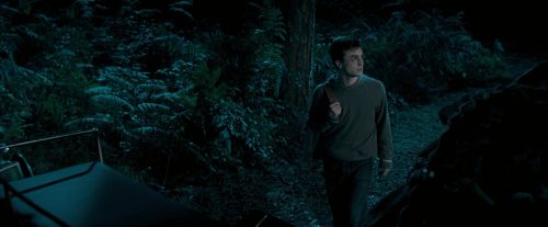 OdF-Potterish_2132.jpg