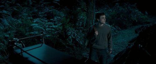 OdF-Potterish_2133.jpg