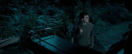 OdF-Potterish_2134.jpg