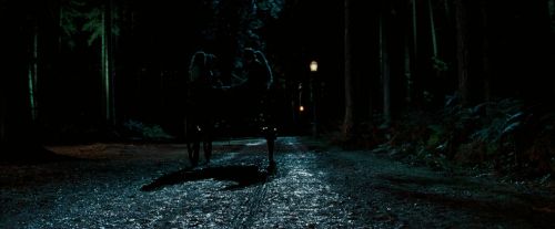 OdF-Potterish_2195.jpg