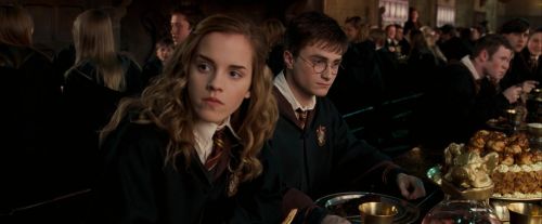 OdF-Potterish_2213.jpg