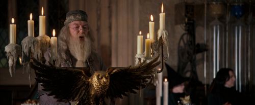OdF-Potterish_2242.jpg