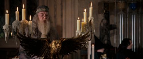 Click to view full size image
==============
OdF-Potterish_2243.jpg OdF-Potterish_2243.jpg