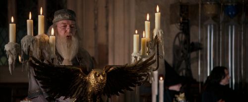 Click to view full size image
==============
OdF-Potterish_2244.jpg OdF-Potterish_2244.jpg