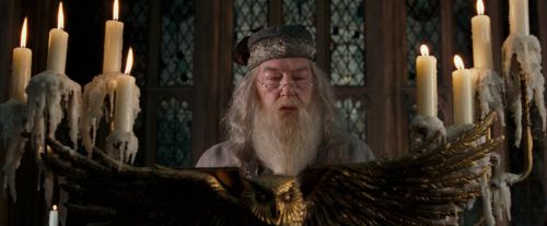OdF-Potterish_2254.jpg