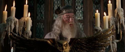 OdF-Potterish_2255.jpg