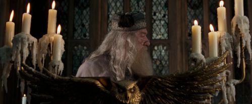 OdF-Potterish_2257.jpg