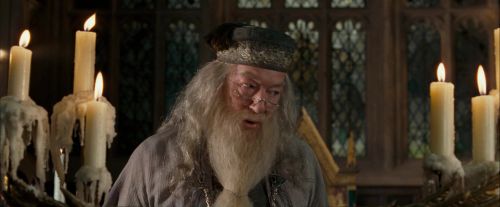 OdF-Potterish_2319.jpg