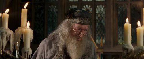 Click to view full size image
==============
OdF-Potterish_2320.jpg OdF-Potterish_2320.jpg