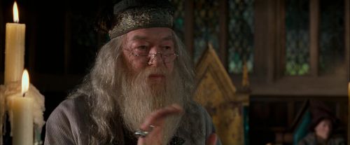 OdF-Potterish_2352.jpg