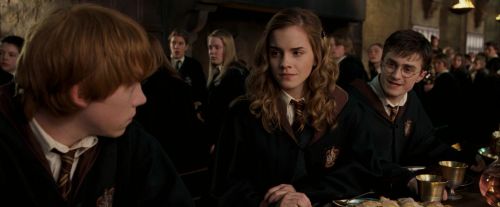 OdF-Potterish_2363.jpg