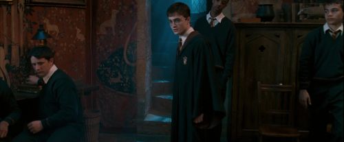 Click to view full size image
==============
OdF-Potterish_2399.jpg OdF-Potterish_2399.jpg