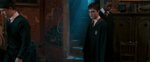 OdF-Potterish_2401.jpg