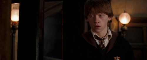 OdF-Potterish_2472.jpg