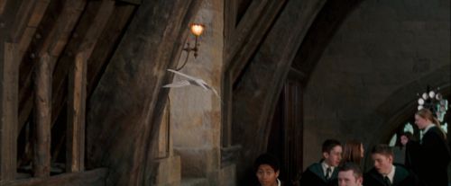 Click to view full size image
==============
OdF-Potterish_2535.jpg OdF-Potterish_2535.jpg