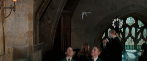 OdF-Potterish_2538.jpg