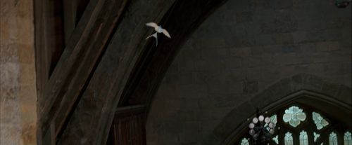 Click to view full size image
==============
OdF-Potterish_2539.jpg OdF-Potterish_2539.jpg