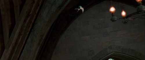 OdF-Potterish_2540.jpg