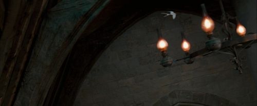 Click to view full size image
==============
OdF-Potterish_2541.jpg OdF-Potterish_2541.jpg