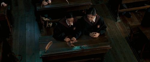 OdF-Potterish_2553.jpg