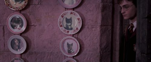 OdF-Potterish_2758.jpg