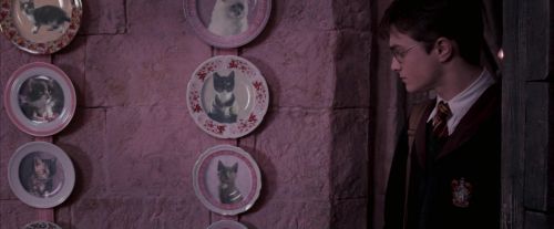 OdF-Potterish_2759.jpg