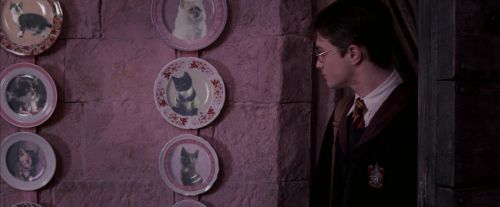 Click to view full size image
==============
OdF-Potterish_2760.jpg OdF-Potterish_2760.jpg