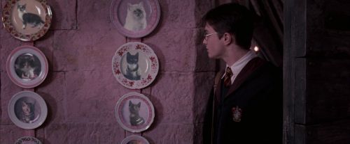 OdF-Potterish_2762.jpg