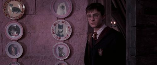 Click to view full size image
==============
OdF-Potterish_2763.jpg OdF-Potterish_2763.jpg