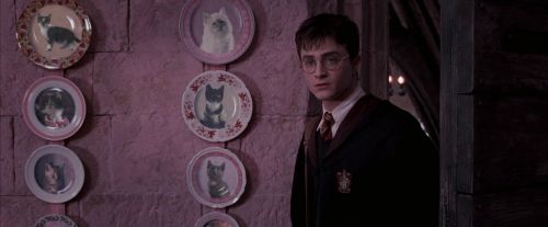 OdF-Potterish_2764.jpg