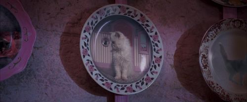 OdF-Potterish_2773.jpg