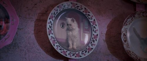 OdF-Potterish_2774.jpg