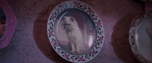 OdF-Potterish_2775.jpg