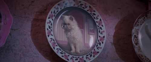 OdF-Potterish_2776.jpg