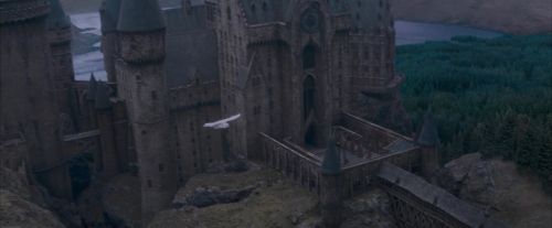 Click to view full size image
==============
OdF-Potterish_3028.jpg OdF-Potterish_3028.jpg
