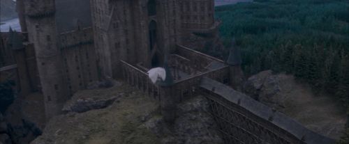 Click to view full size image
==============
OdF-Potterish_3029.jpg OdF-Potterish_3029.jpg
