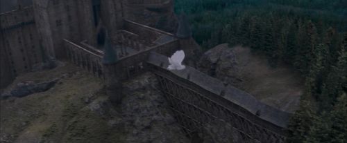 OdF-Potterish_3030.jpg