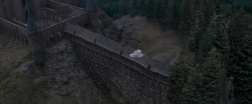 OdF-Potterish_3031.jpg