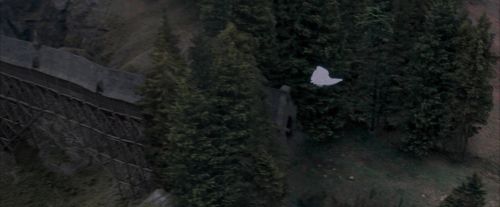 OdF-Potterish_3033.jpg