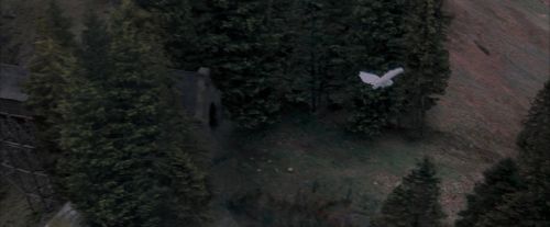 OdF-Potterish_3034.jpg