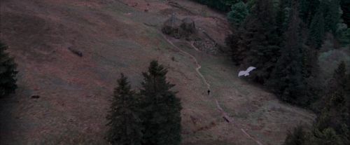 OdF-Potterish_3039.jpg