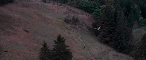 OdF-Potterish_3040.jpg