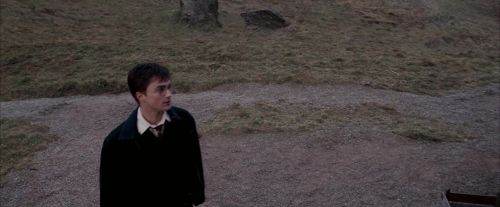 OdF-Potterish_3052.jpg