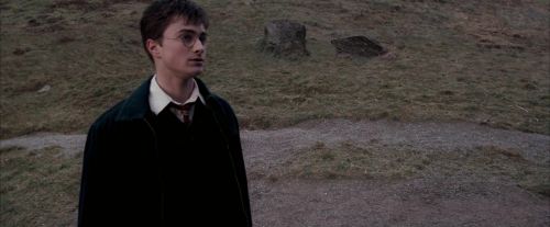 Click to view full size image
==============
OdF-Potterish_3054.jpg OdF-Potterish_3054.jpg
