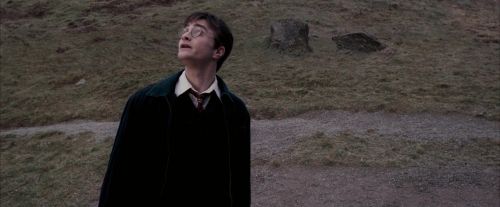Click to view full size image
==============
OdF-Potterish_3057.jpg OdF-Potterish_3057.jpg