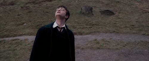 OdF-Potterish_3058.jpg