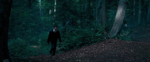 OdF-Potterish_3075.jpg