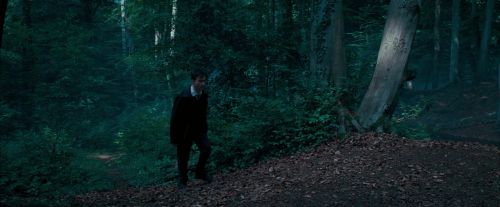Click to view full size image
==============
OdF-Potterish_3076.jpg OdF-Potterish_3076.jpg